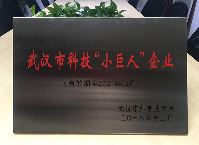BETVLCTOR伟德国际(体育)唯一官方网站