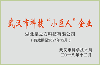 BETVLCTOR伟德国际(体育)唯一官方网站