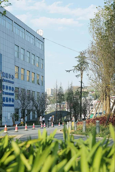 BETVLCTOR伟德国际(体育)唯一官方网站