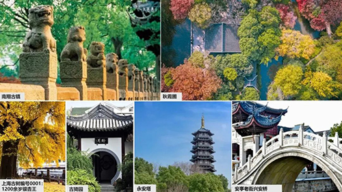 BETVLCTOR伟德国际(体育)唯一官方网站
